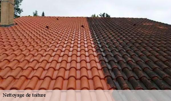 Nettoyage de toiture 91 Essonne  Lambert Willy nettoyage