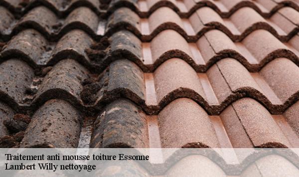 Traitement anti mousse toiture 91 Essonne  Lambert Willy nettoyage