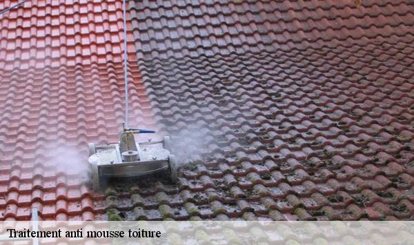 Traitement anti mousse toiture 91 Essonne  Lambert Willy nettoyage
