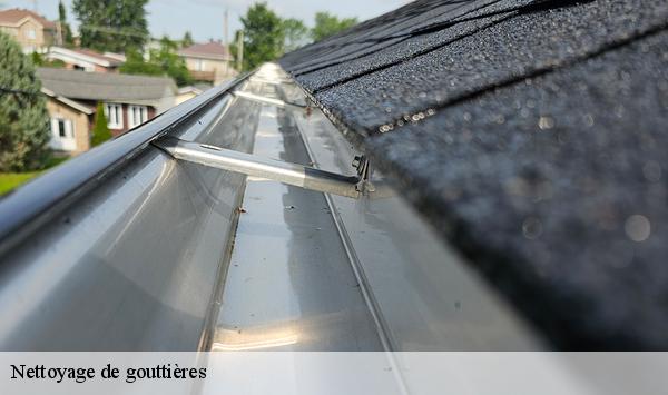 Nettoyage de gouttières 91 Essonne  Lambert Willy nettoyage
