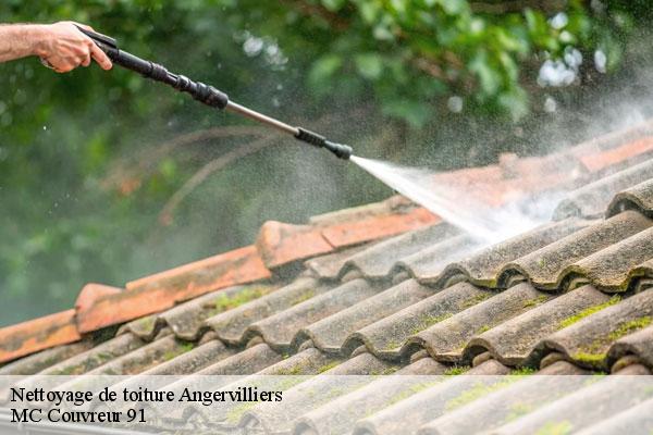 Nettoyage de toiture  angervilliers-91470 MC Couvreur 91