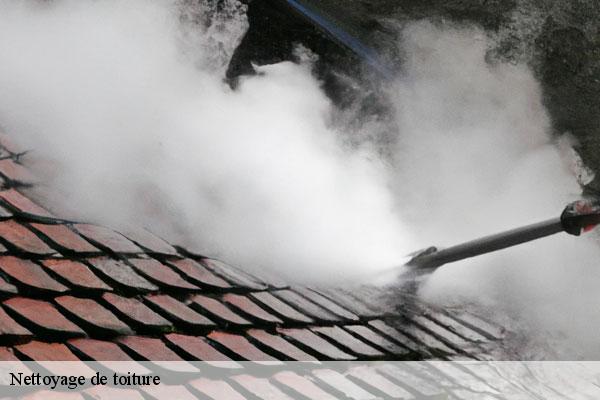 Nettoyage de toiture  saint-pierre-du-perray-91280 MC Couvreur 91