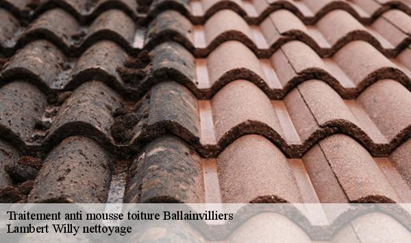 Traitement anti mousse toiture  ballainvilliers-91160 Lambert Willy nettoyage