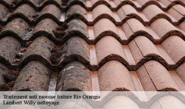 Traitement anti mousse toiture  ris-orangis-91130 Lambert Willy nettoyage