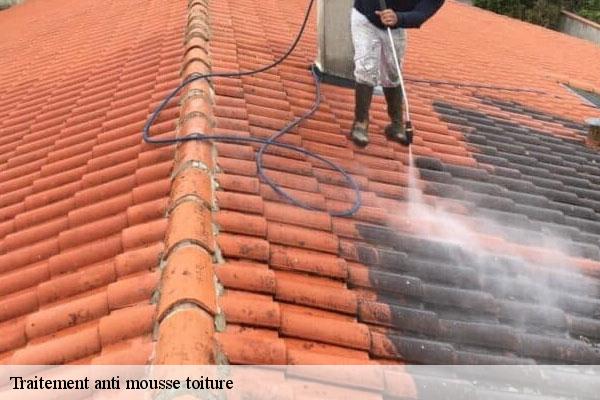 Traitement anti mousse toiture  saint-cheron-91530 MC Couvreur 91