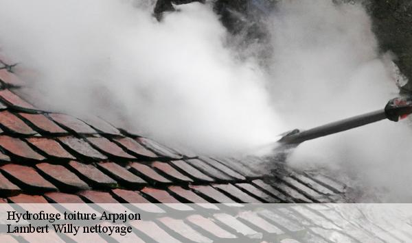 Hydrofuge toiture  arpajon-91290 Lambert Willy nettoyage