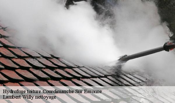 Hydrofuge toiture  courdimanche-sur-essonne-91720 Lambert Willy nettoyage