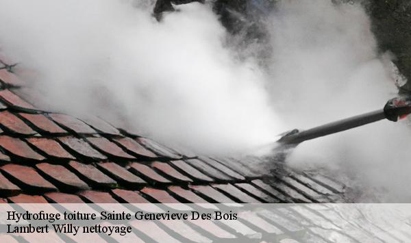 Hydrofuge toiture  sainte-genevieve-des-bois-91700 Lambert Willy nettoyage