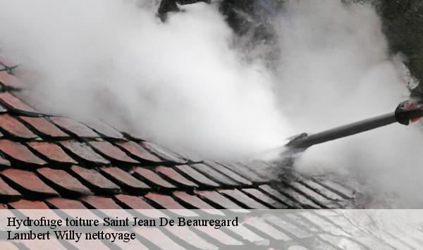 Hydrofuge toiture  saint-jean-de-beauregard-91940 Lambert Willy nettoyage