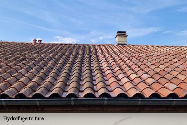 Hydrofuge toiture  souzy-la-briche-91580 MC Couvreur 91