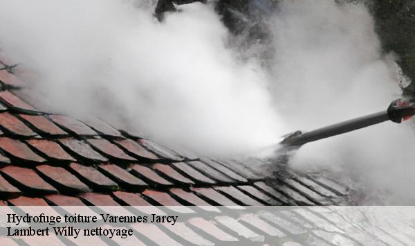 Hydrofuge toiture  varennes-jarcy-91480 Lambert Willy nettoyage
