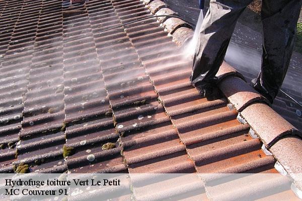 Hydrofuge toiture  vert-le-petit-91710 MC Couvreur 91