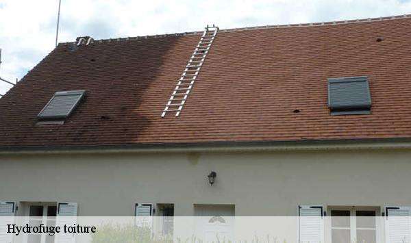 Hydrofuge toiture  villeras-91190 Lambert Willy nettoyage