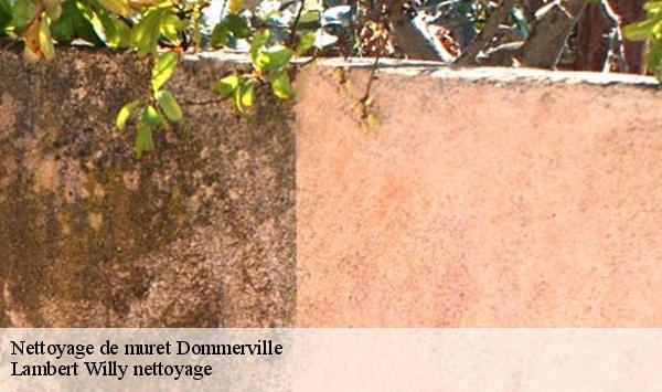 Nettoyage de muret  dommerville-91670 Lambert Willy nettoyage