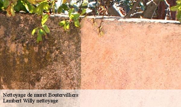 Nettoyage de muret  boutervilliers-91150 Lambert Willy nettoyage