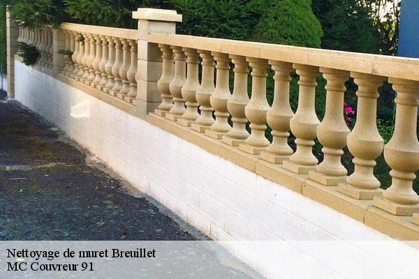 Nettoyage de muret  breuillet-91650 MC Couvreur 91