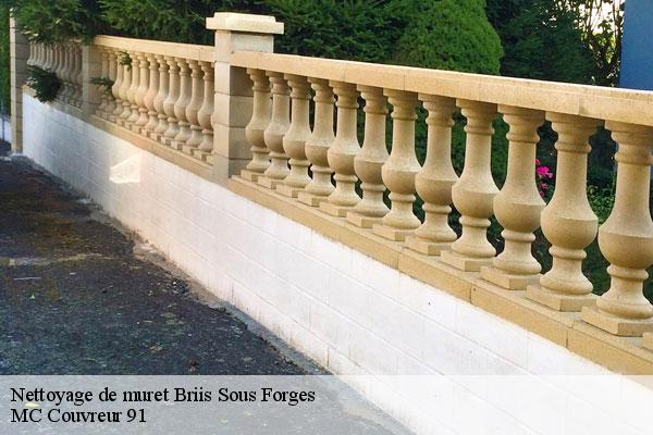 Nettoyage de muret  briis-sous-forges-91640 MC Couvreur 91