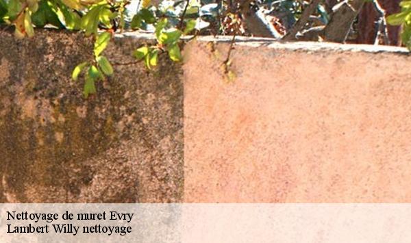 Nettoyage de muret  evry-91000 Lambert Willy nettoyage