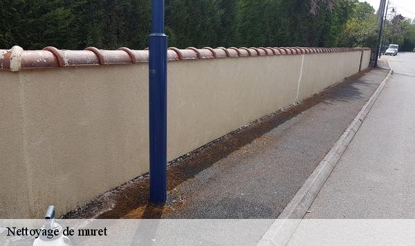 Nettoyage de muret  guibeville-91630 Lambert Willy nettoyage