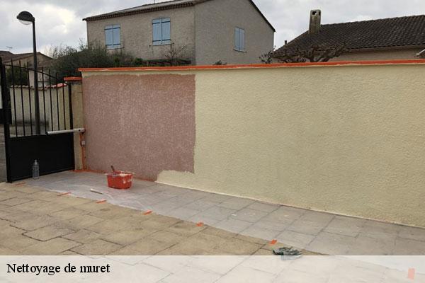 Nettoyage de muret  linas-91310 MC Couvreur 91