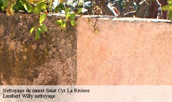 Nettoyage de muret  saint-cyr-la-riviere-91690 Lambert Willy nettoyage