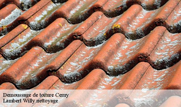 Demoussage de toiture  cerny-91590 Lambert Willy nettoyage