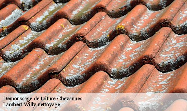 Demoussage de toiture  chevannes-91750 Lambert Willy nettoyage