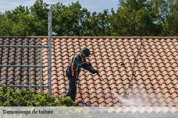 Demoussage de toiture  dourdan-91410 MC Couvreur 91