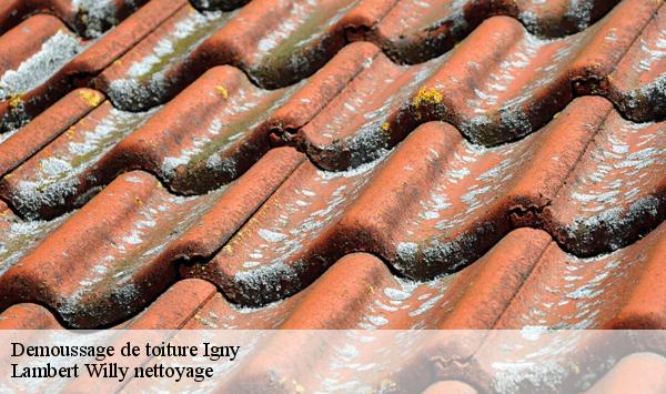 Demoussage de toiture  igny-91430 Lambert Willy nettoyage