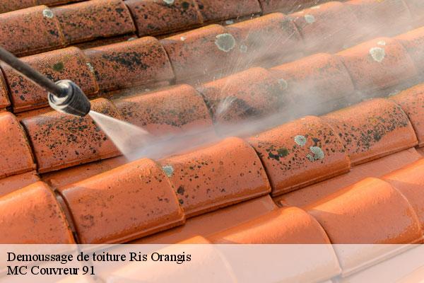 Demoussage de toiture  ris-orangis-91130 MC Couvreur 91