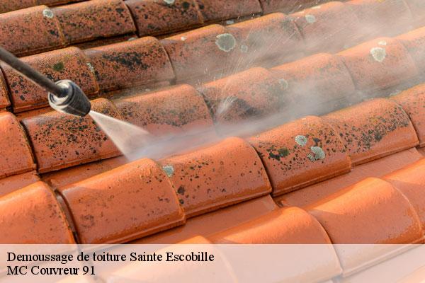 Demoussage de toiture  sainte-escobille-91410 MC Couvreur 91