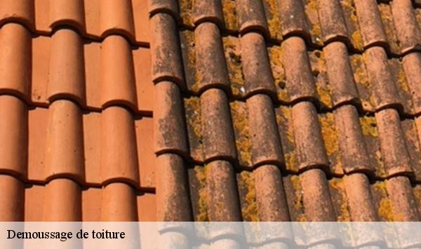Demoussage de toiture  le-plessis-chenet-91830 Lambert Willy nettoyage