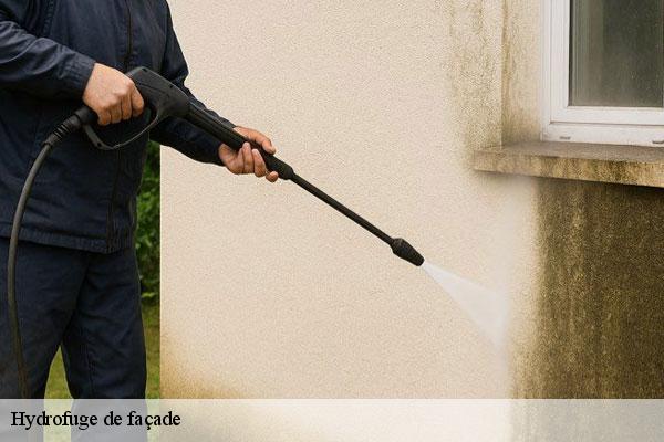 Hydrofuge de façade  itteville-91760 MC Couvreur 91