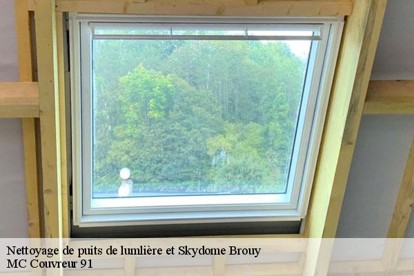 Nettoyage de puits de lumlière et Skydome  brouy-91150 MC Couvreur 91