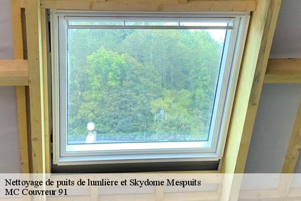Nettoyage de puits de lumlière et Skydome  mespuits-91150 MC Couvreur 91
