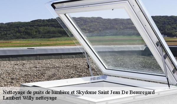 Nettoyage de puits de lumlière et Skydome  saint-jean-de-beauregard-91940 Lambert Willy nettoyage