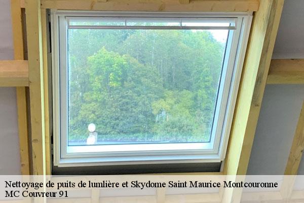 Nettoyage de puits de lumlière et Skydome  saint-maurice-montcouronne-91530 MC Couvreur 91