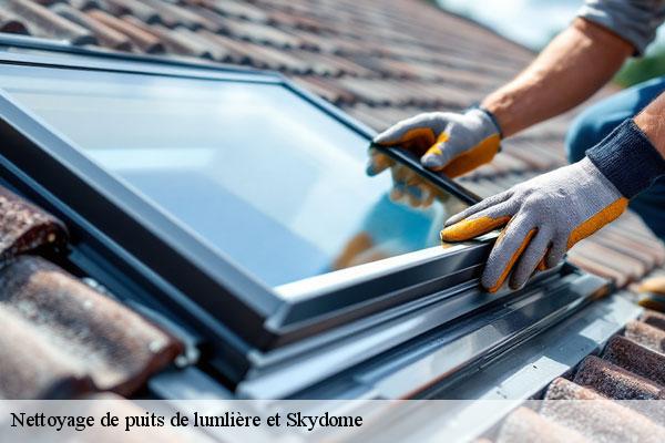 Nettoyage de puits de lumlière et Skydome  varennes-jarcy-91480 MC Couvreur 91