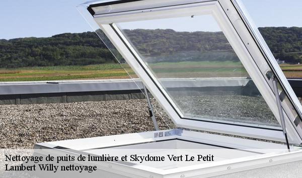 Nettoyage de puits de lumlière et Skydome  vert-le-petit-91710 Lambert Willy nettoyage