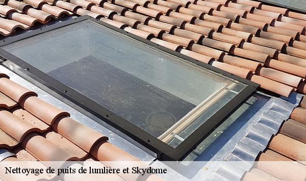 Nettoyage de puits de lumlière et Skydome  villeras-91190 Lambert Willy nettoyage